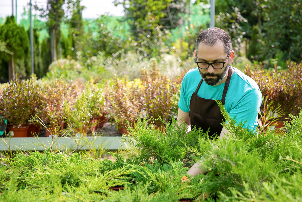 Why Hiring a Professional Commercial Landscaper in Central Florida is Essential for Your Business