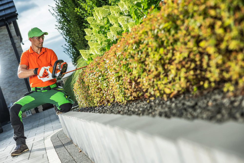 How to Keep Your Outdoor Landscape Clean and Well-Maintained