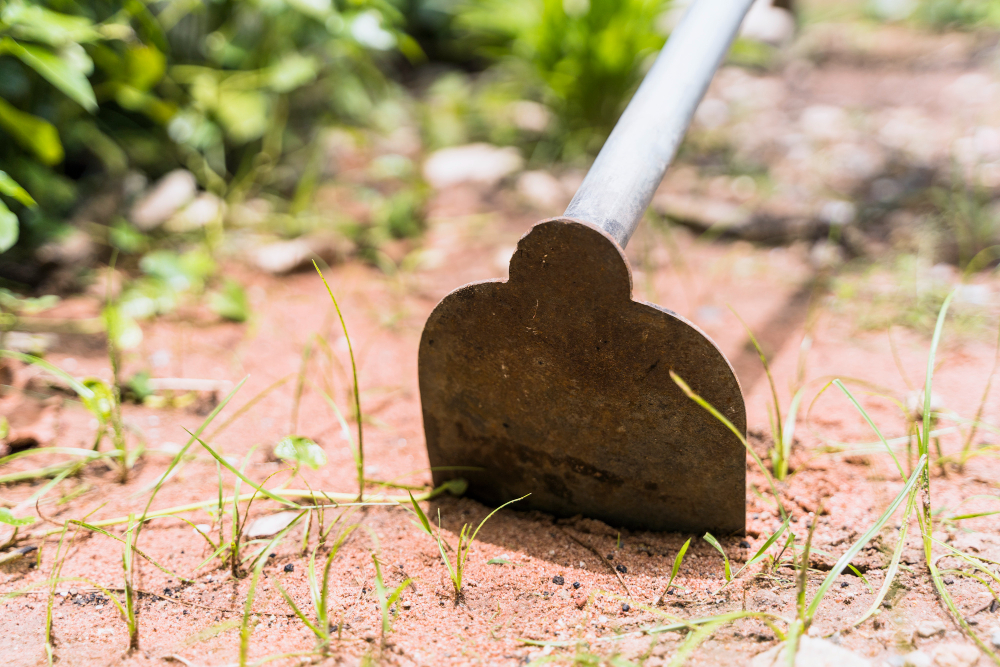 Bad Soil Conditions: Signs Every Property Owner Needs to Know