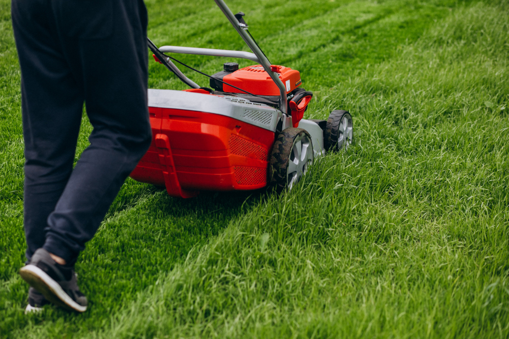 Master the Art of Lawn Mowing with These Expert Tips