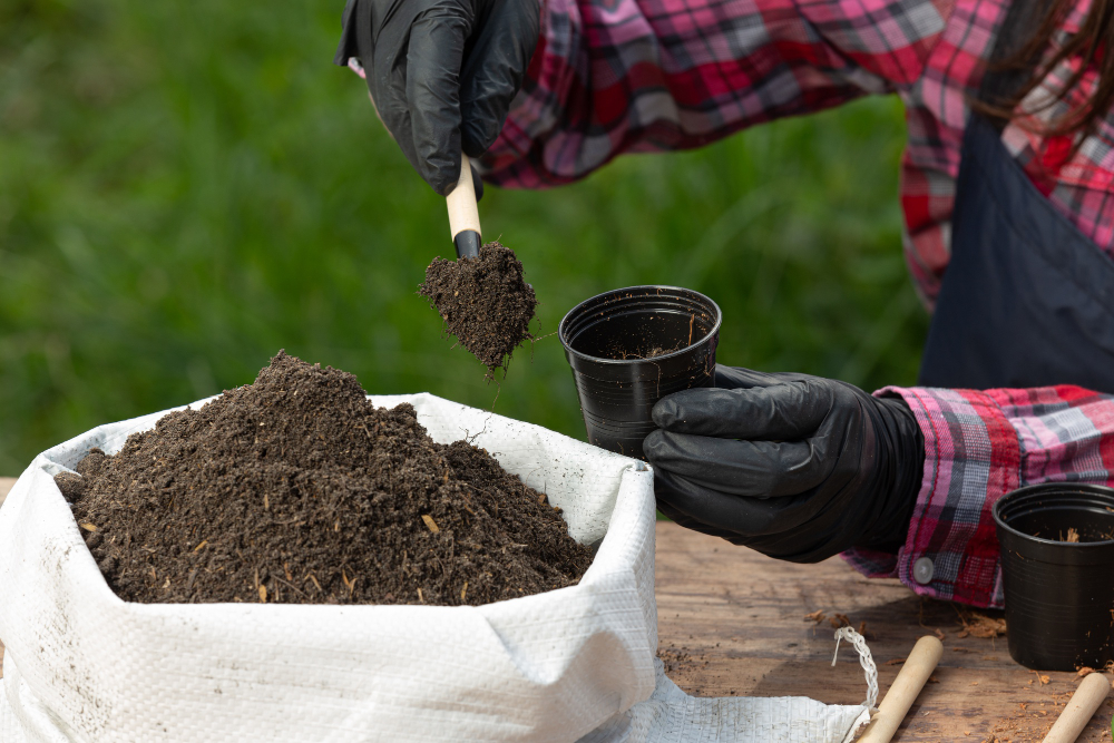 The Importance of Garden Soil Health in Commercial Landscaping