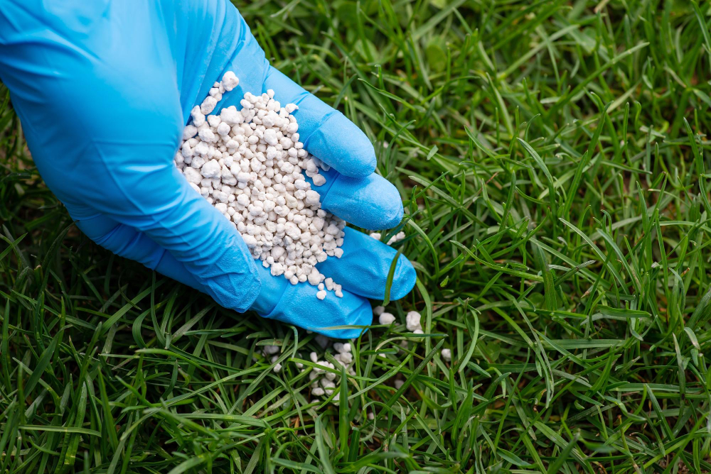 The Importance of Fertilizing Your Lawn