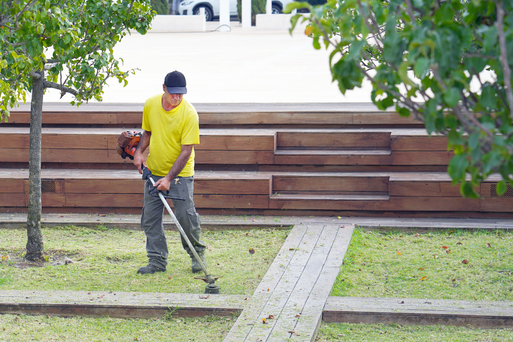 The Benefits of Regular Weed Removal in Commercial Landscaping