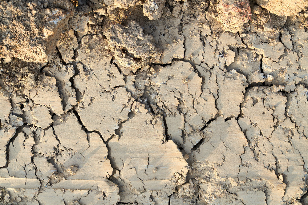 Understanding Soil Erosion and How Commercial Landscaping Can Help