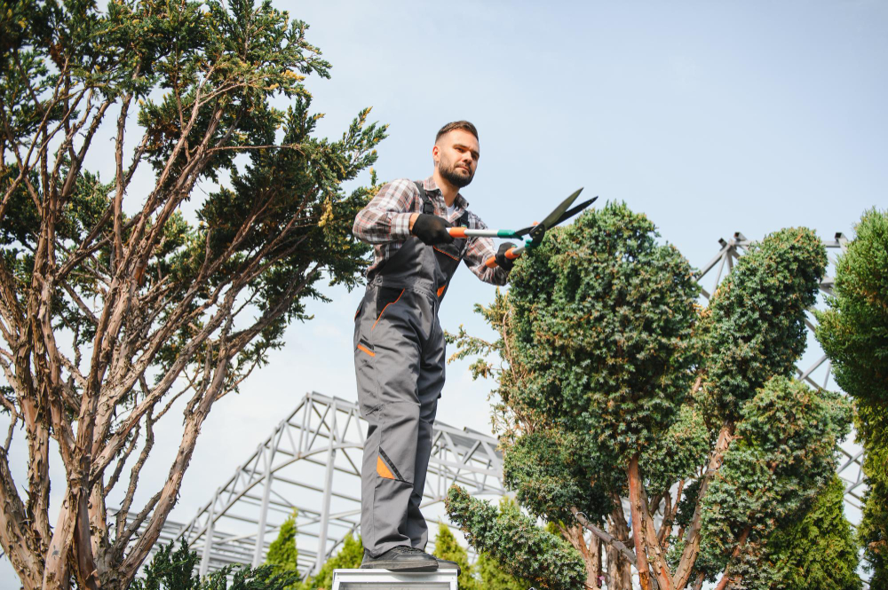 Why You Should Get Professional Help With Commercial Landscaping