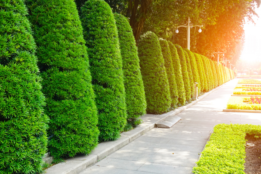 Why You Should Hire a Professional Commercial Landscaping Company