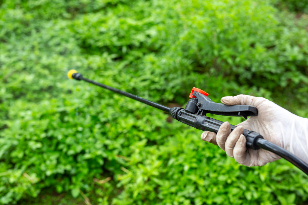 Keeping Harmful Insects Under Control in Commercial Landscaping