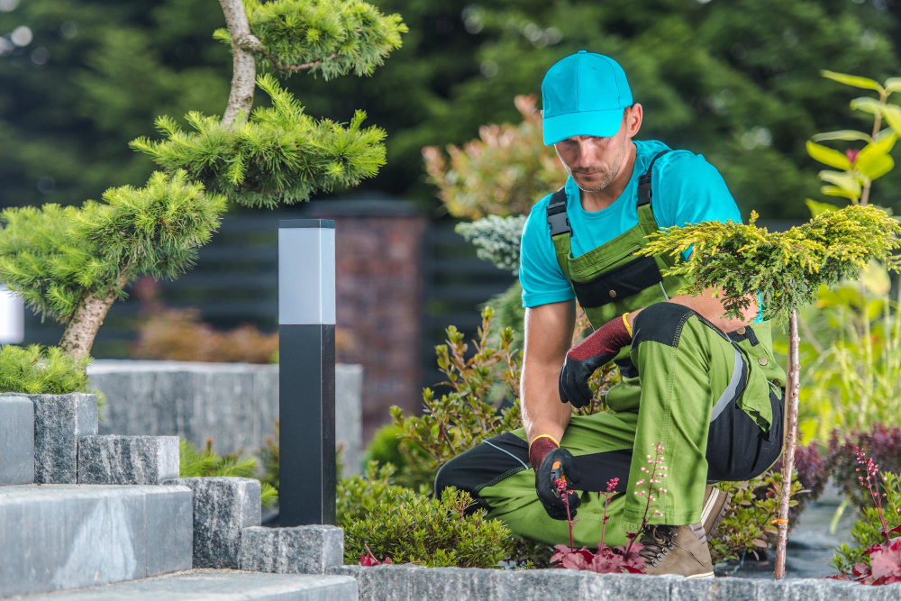 Why Hire a Professional Commercial Landscaping Company