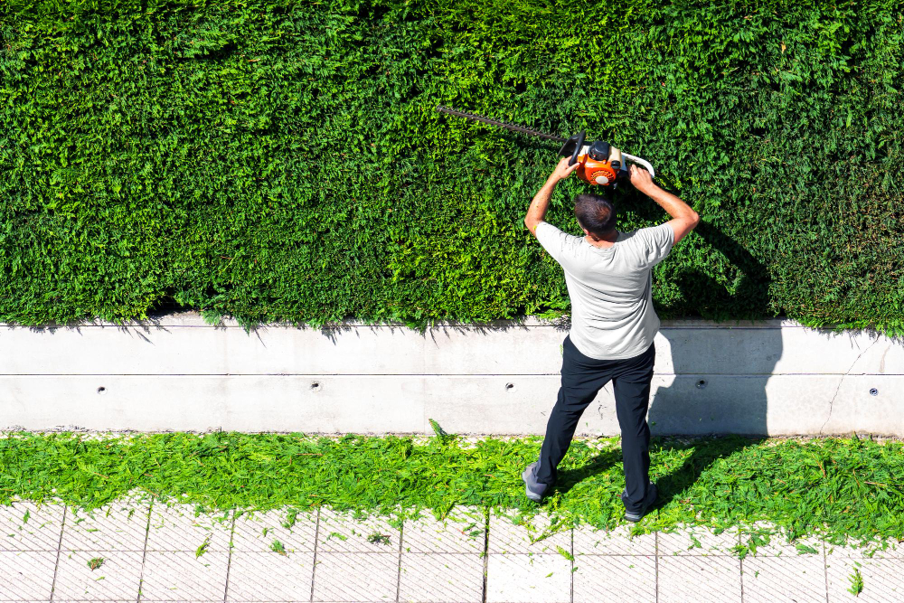 Mastering Weed Control: Tips for Effective Commercial Landscaping