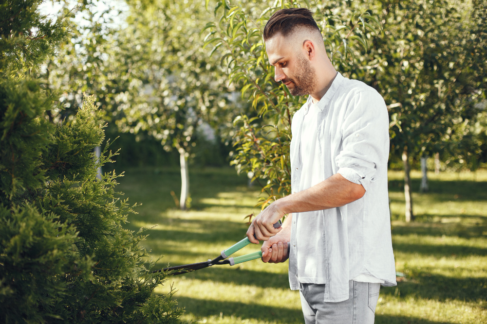 How to Select the Perfect Commercial Landscaper